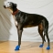 Обувь для собак "PAWZ" каучуковая