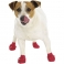 Обувь для собак "PAWZ" каучуковая